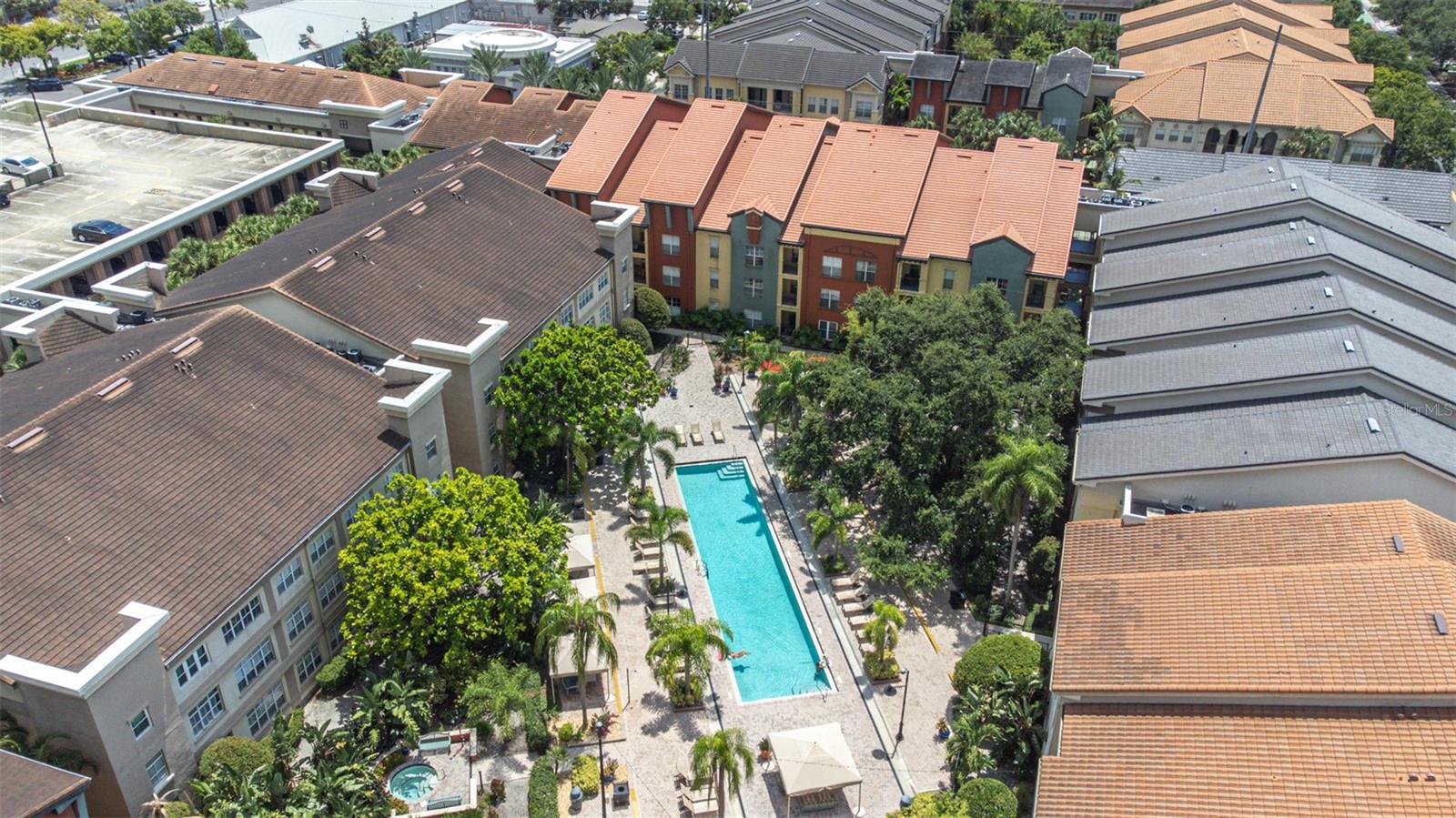 Ariel view of the pool