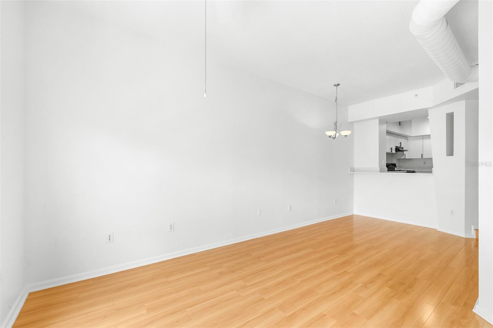 Dining living room combo