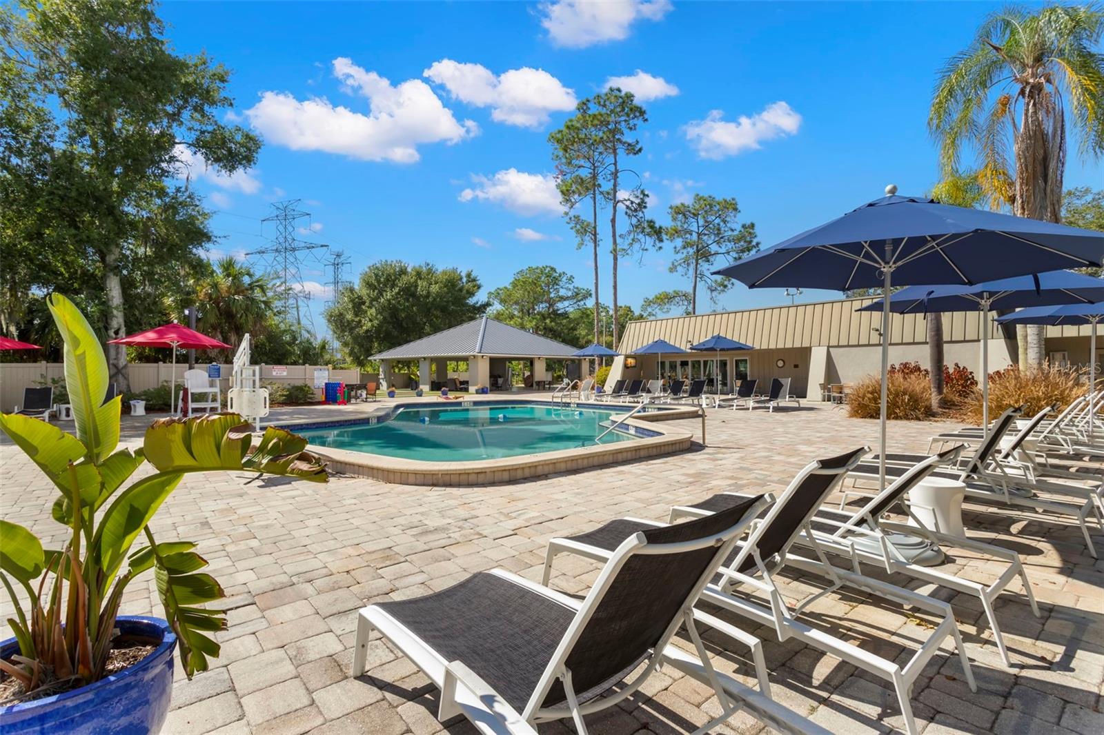 237 WOODLAKE WYNDE #237, OLDSMAR, FL, 34677