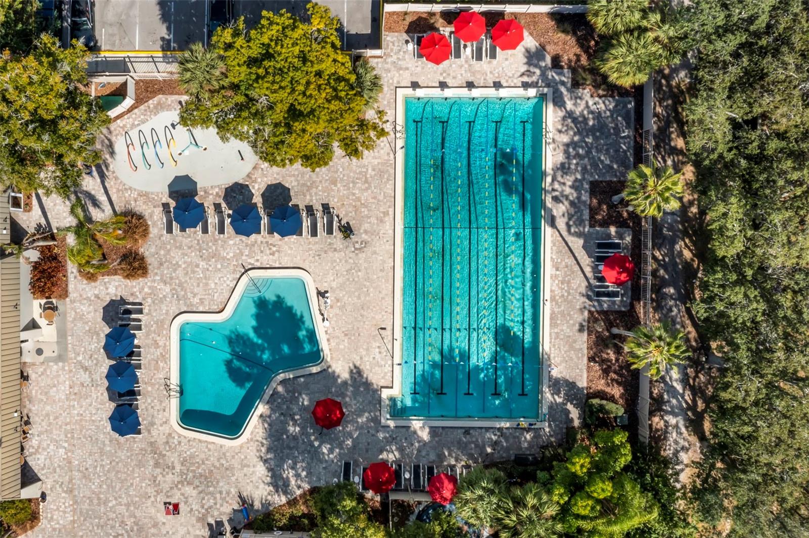 237 WOODLAKE WYNDE #237, OLDSMAR, FL, 34677