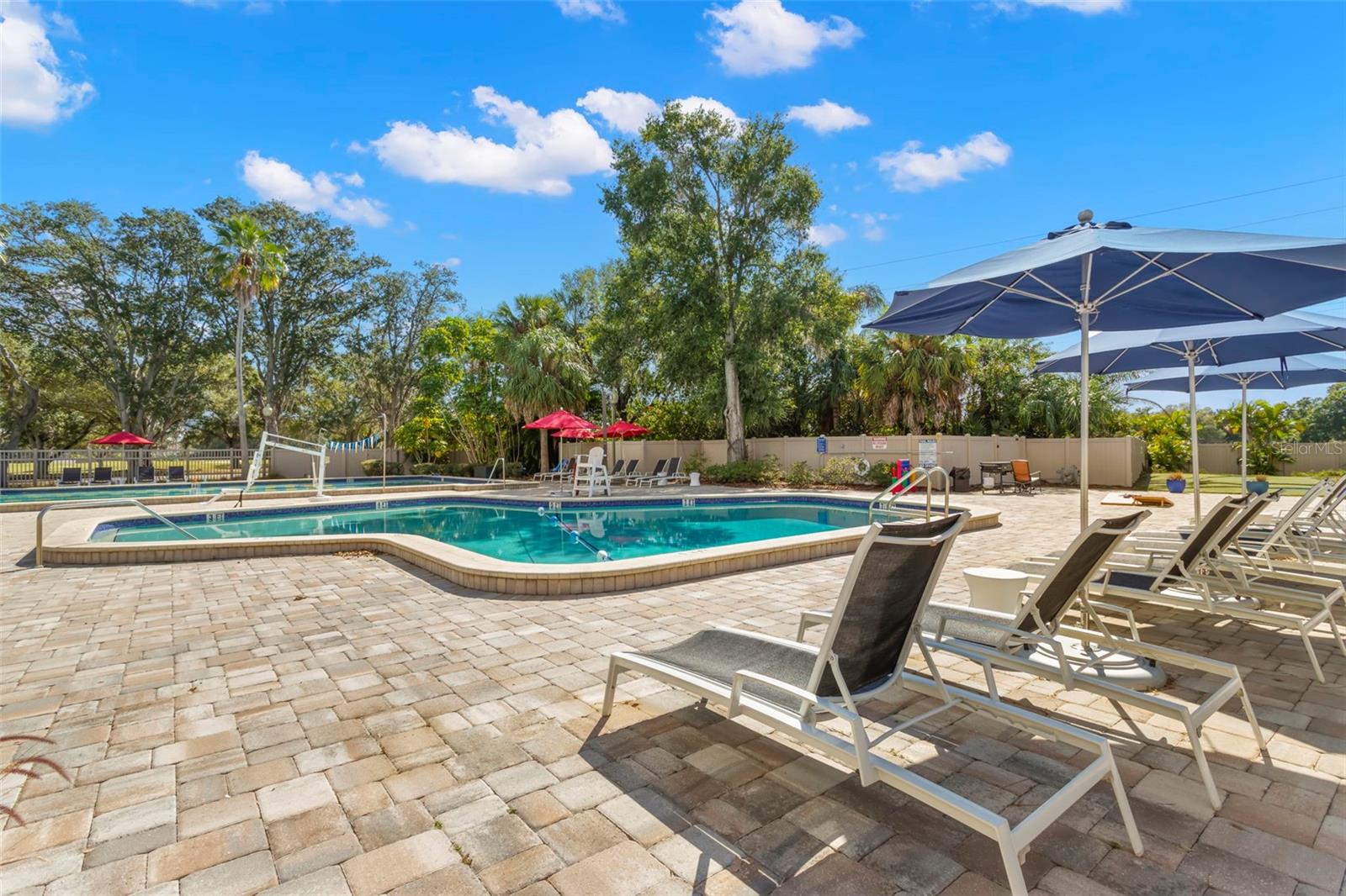 237 WOODLAKE WYNDE #237, OLDSMAR, FL, 34677