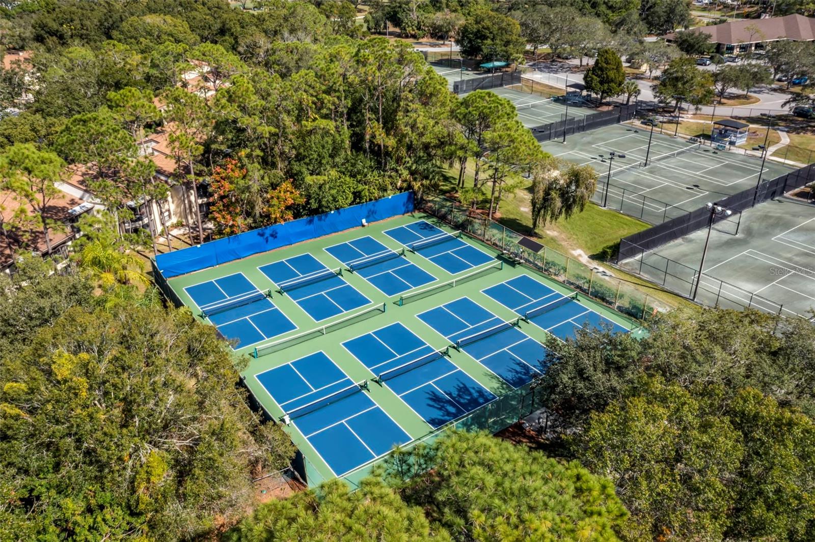 237 WOODLAKE WYNDE #237, OLDSMAR, FL, 34677