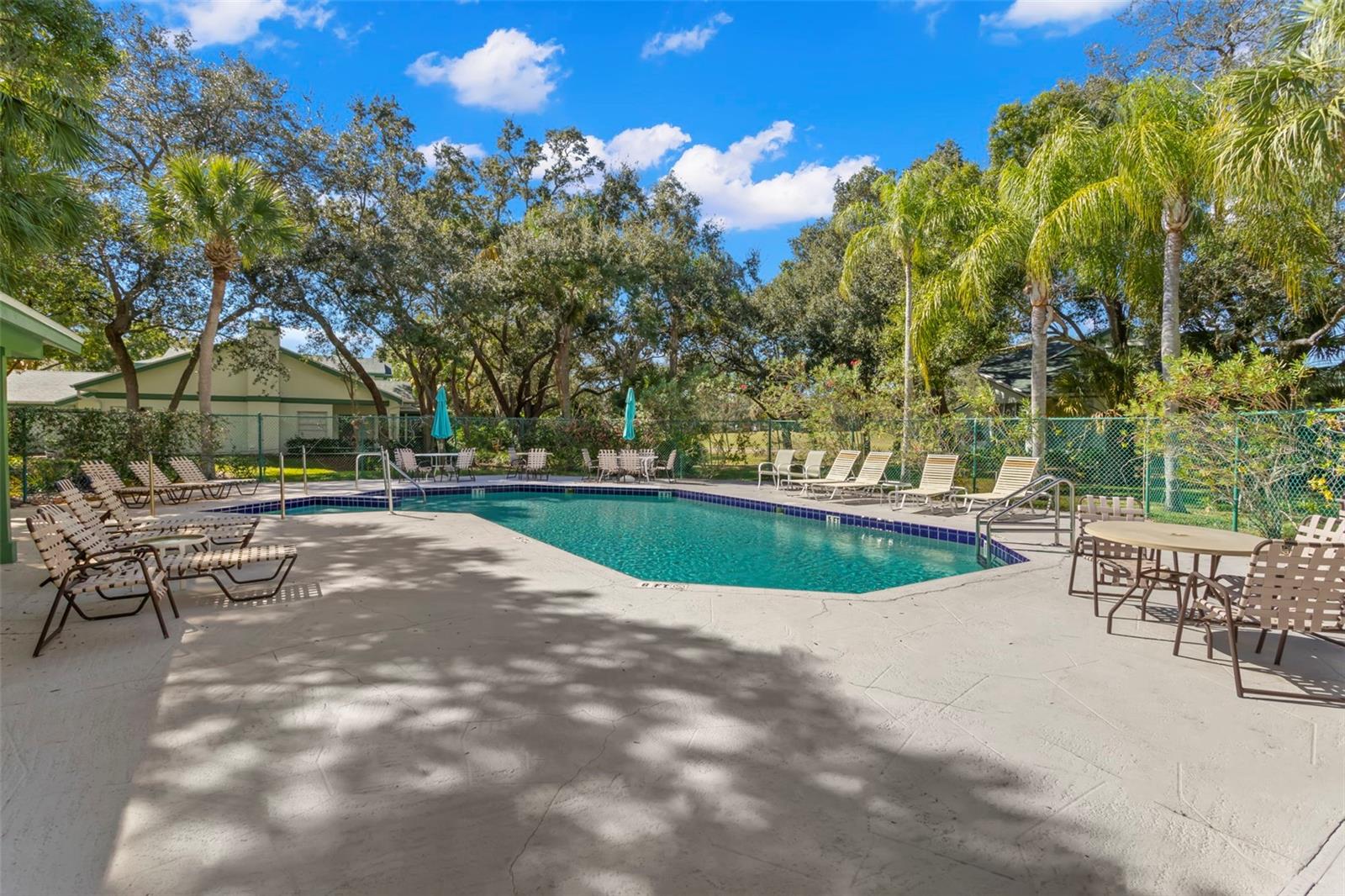 237 WOODLAKE WYNDE #237, OLDSMAR, FL, 34677