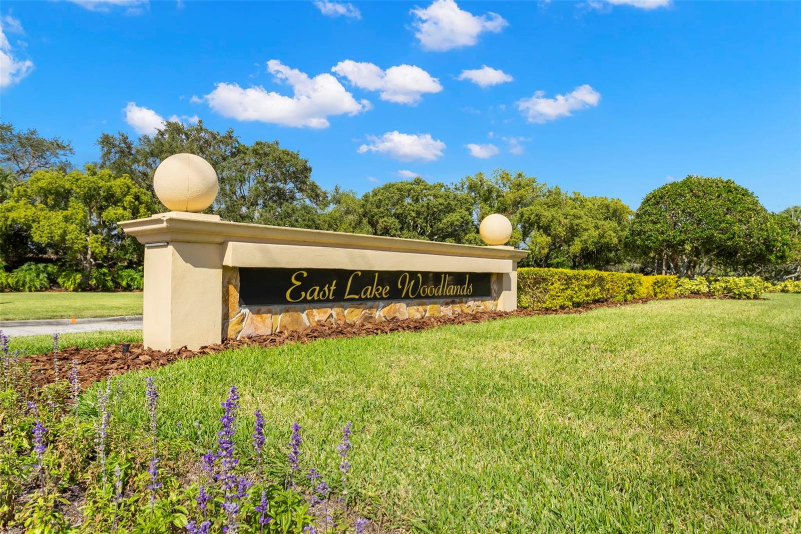 237 WOODLAKE WYNDE #237, OLDSMAR, FL, 34677