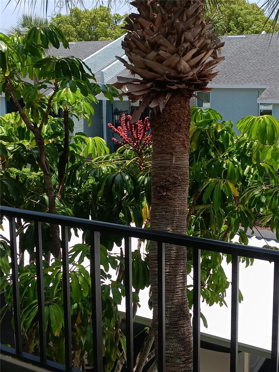 TB8416722 Property Photo