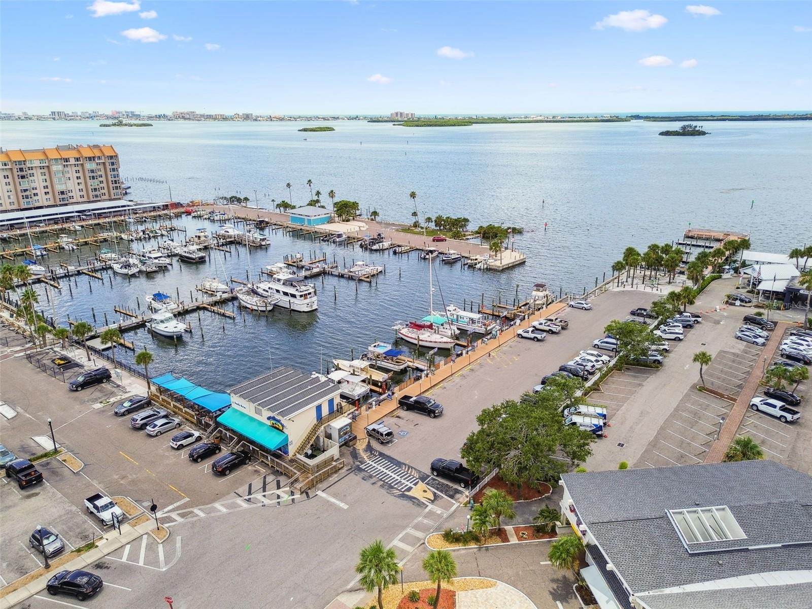 433 S PAULA DR #43, DUNEDIN, FL, 34698