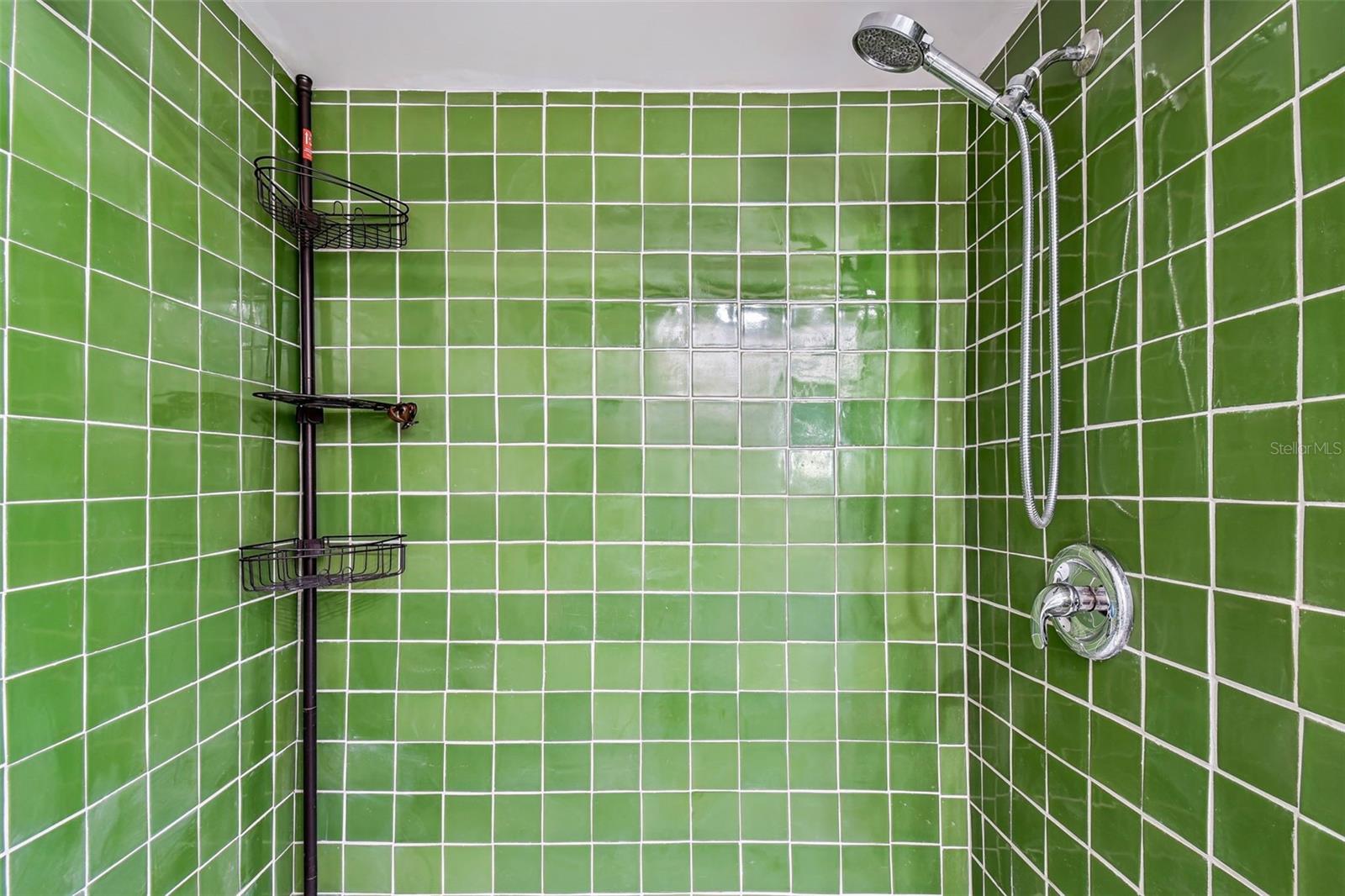 433 S PAULA DR #43, DUNEDIN, FL, 34698