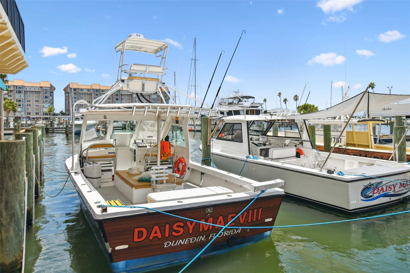 433 S PAULA DR #43, DUNEDIN, FL, 34698