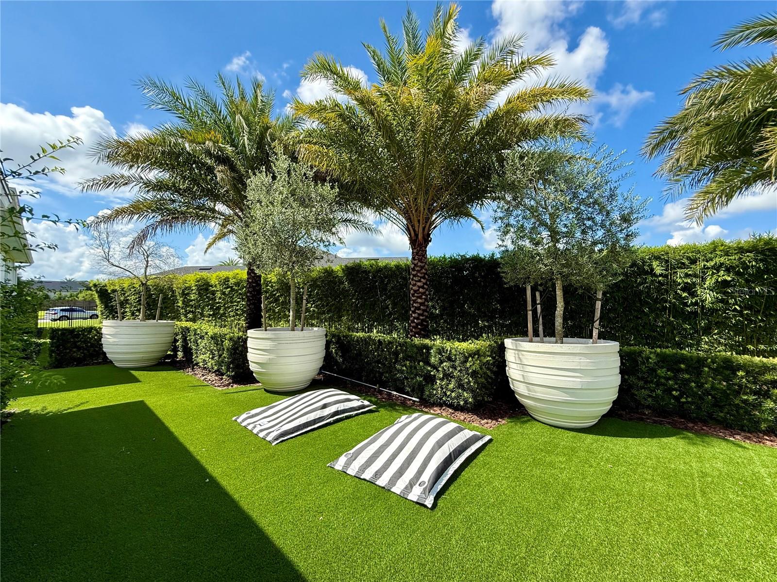 O6335502 Property Photo