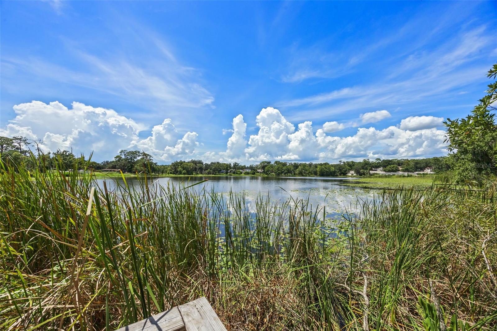 2530 DOMENICO PAUL WAY, ORLANDO, FL, 32810