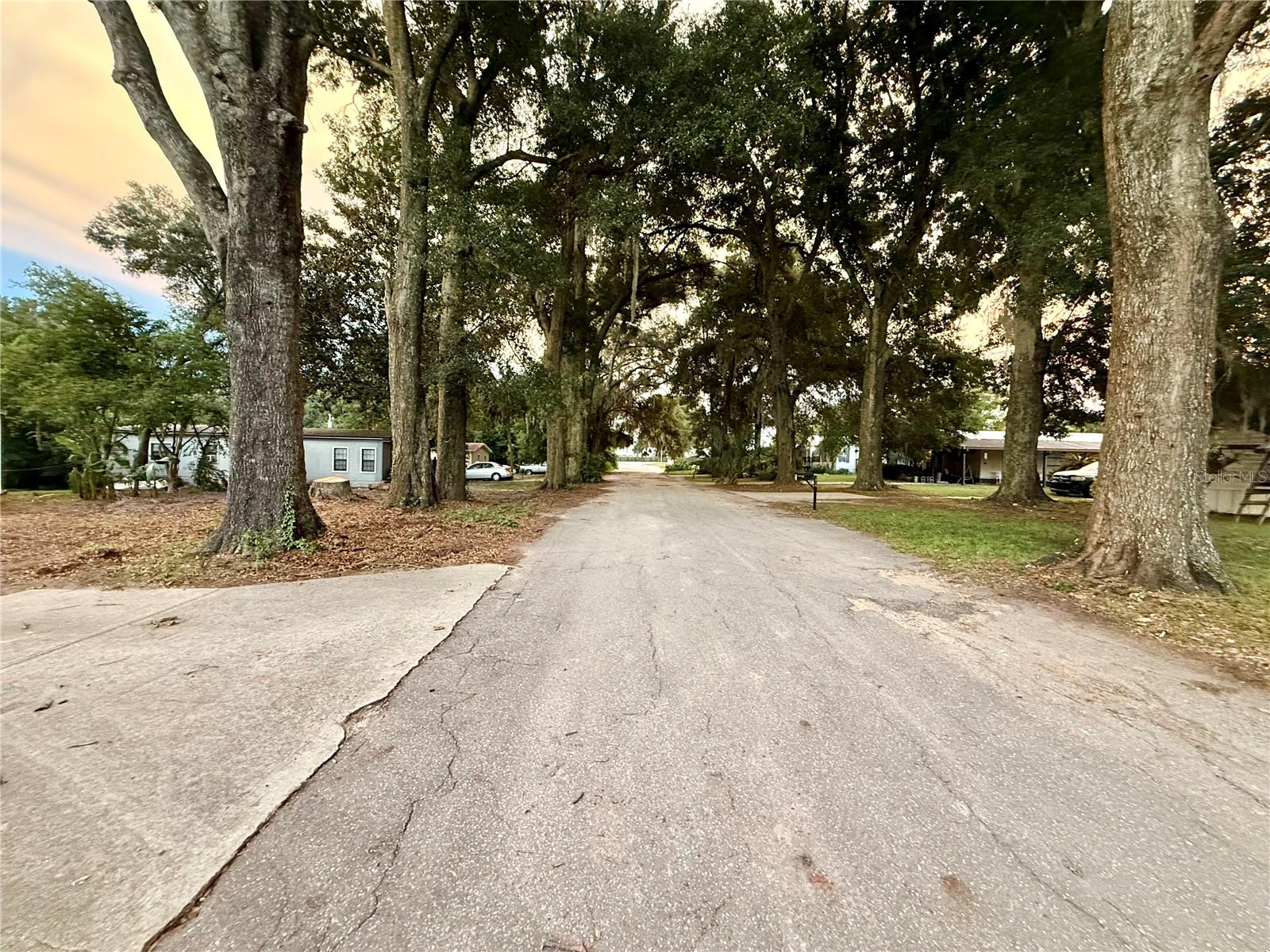 OM707553 Property Photo