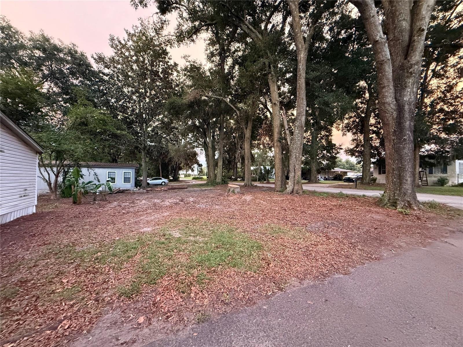 OM707553 Property Photo