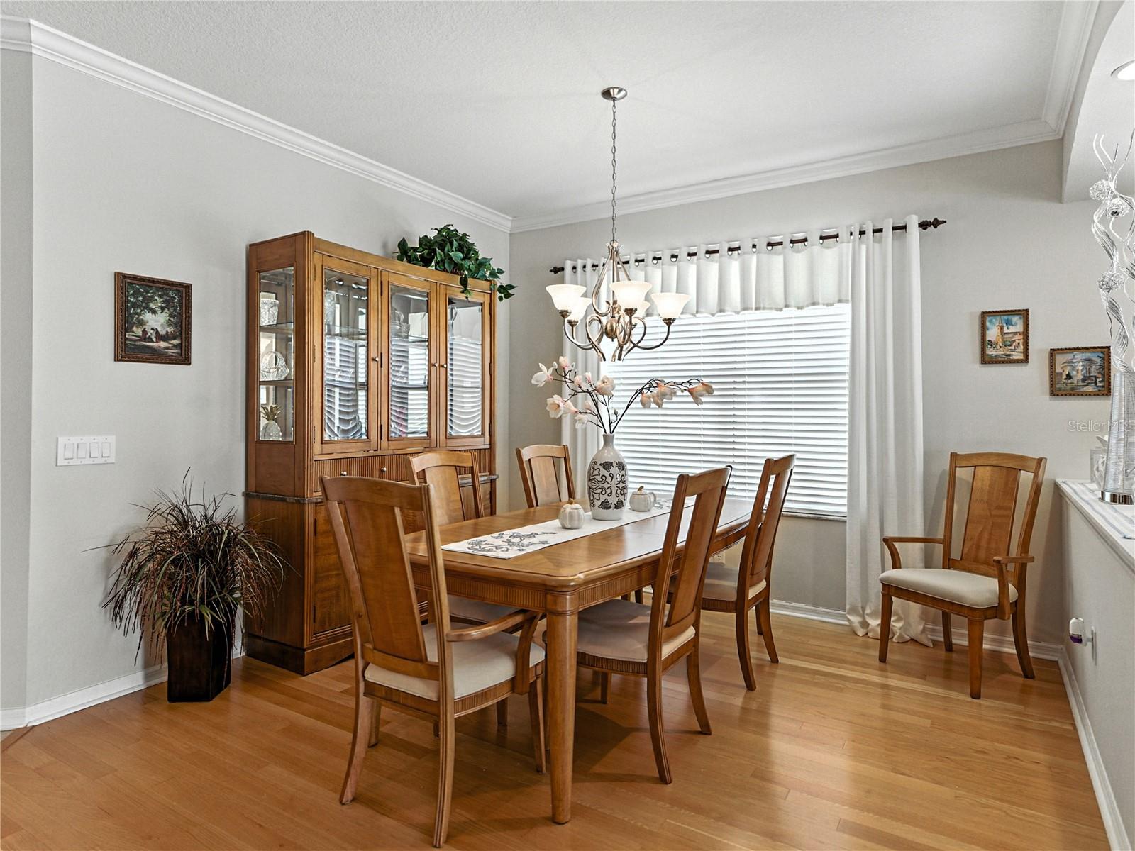 2530 CROSS MORE ST, VALRICO, FL, 33594