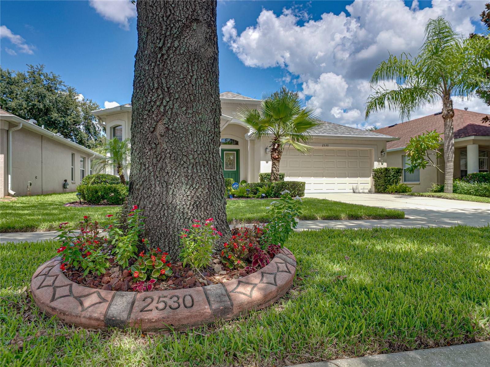 2530 CROSS MORE ST, VALRICO, FL, 33594