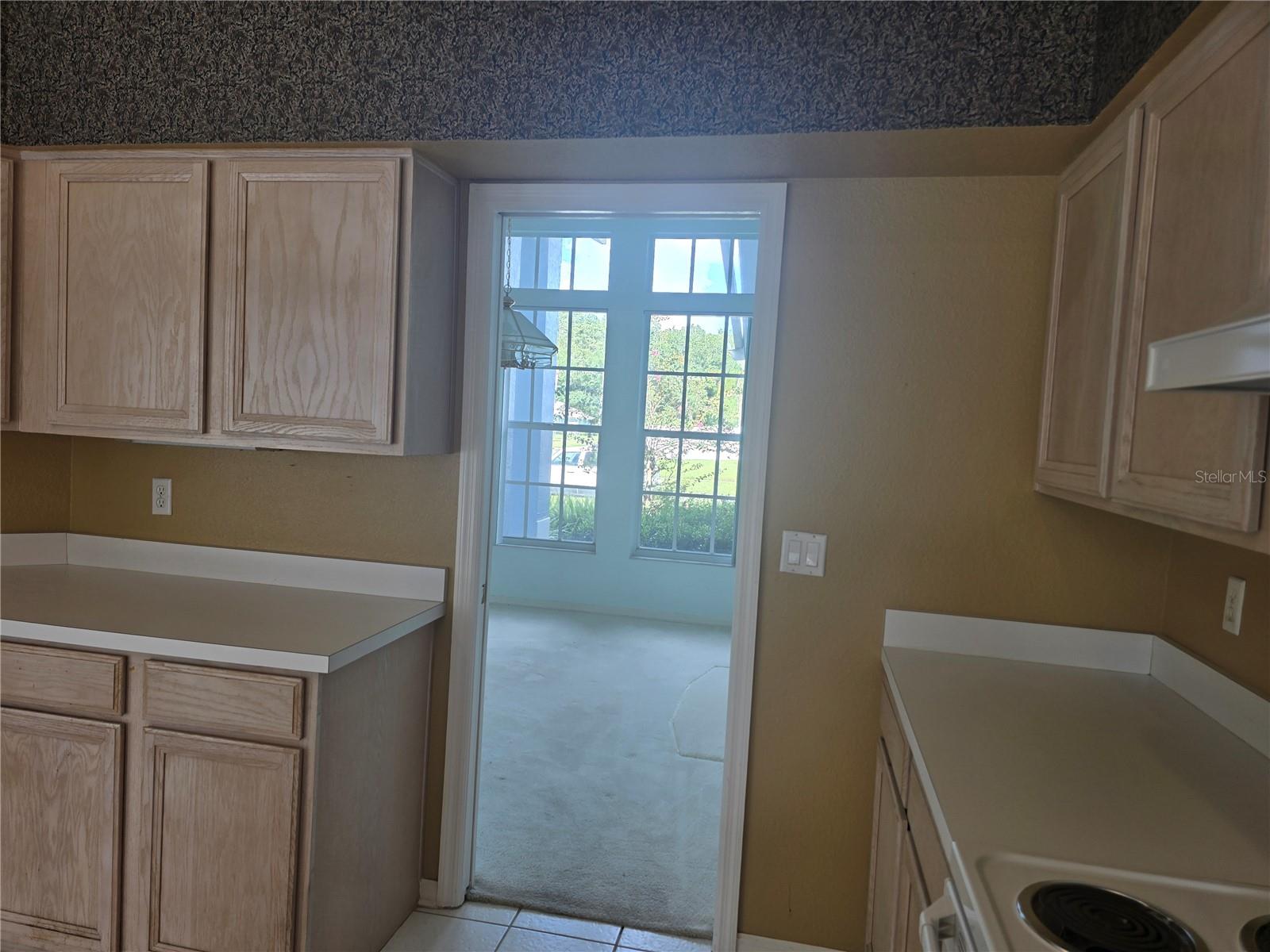 13417 IOLA DR, TAMPA, FL, 33626