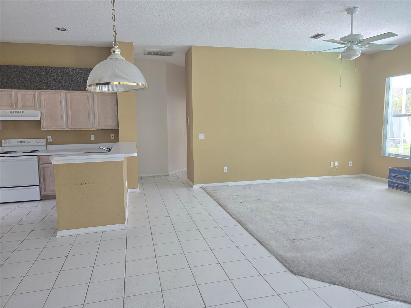 13417 IOLA DR, TAMPA, FL, 33626