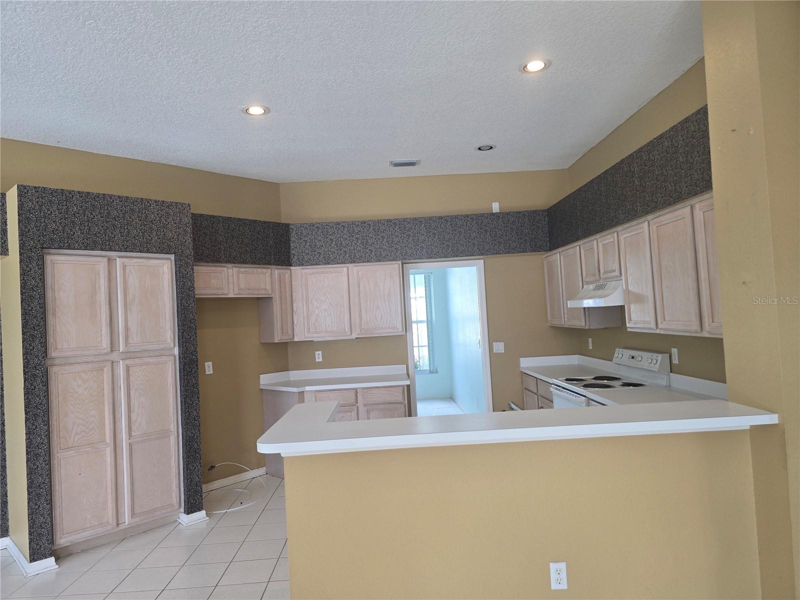 13417 IOLA DR, TAMPA, FL, 33626