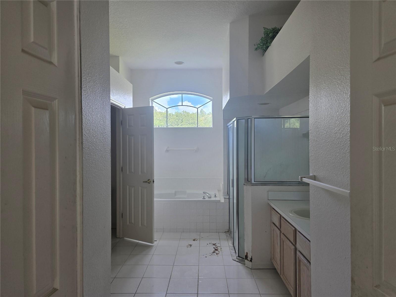 13417 IOLA DR, TAMPA, FL, 33626