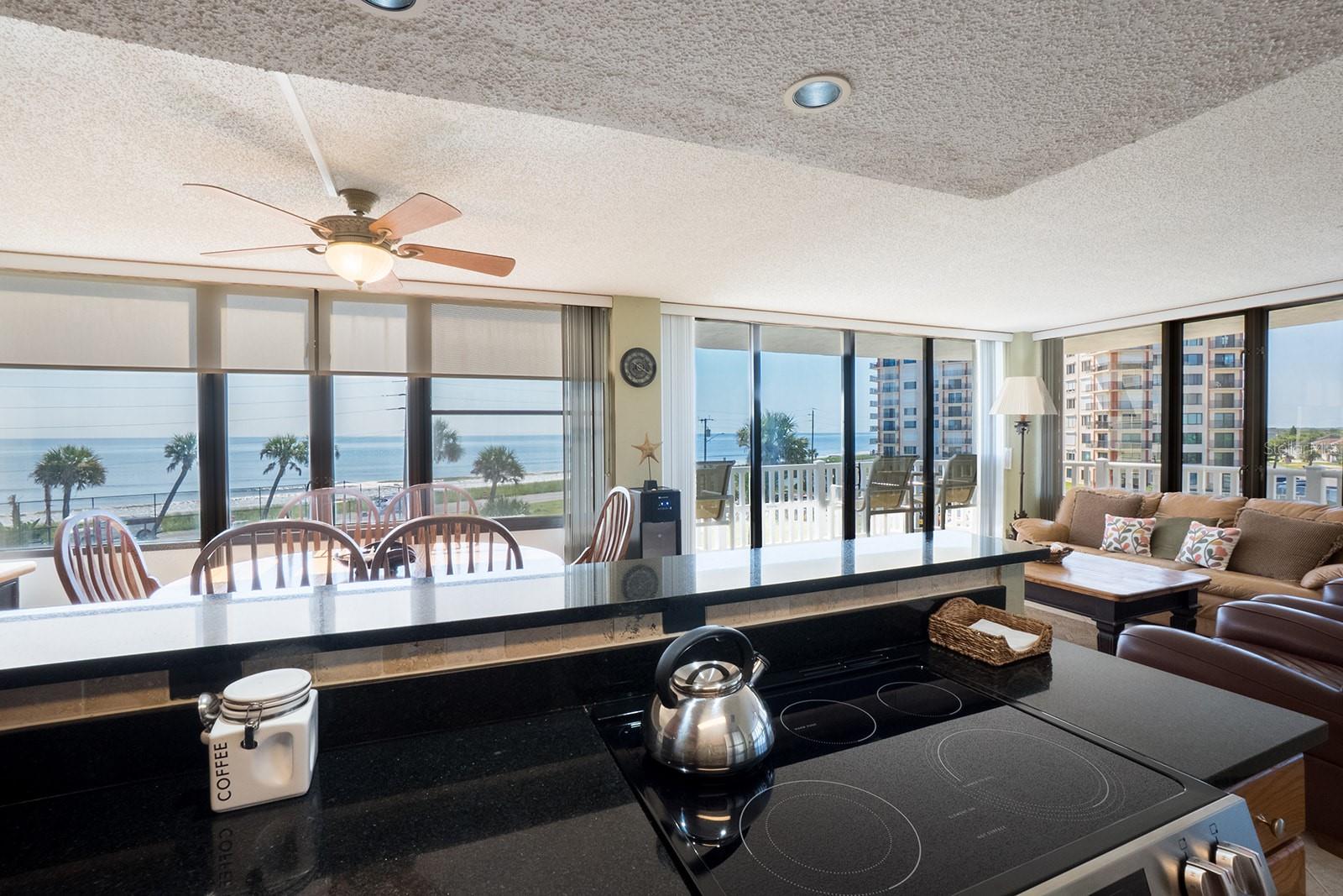 3580 S OCEAN SHORE BLVD #308, FLAGLER BEACH, FL, 32136