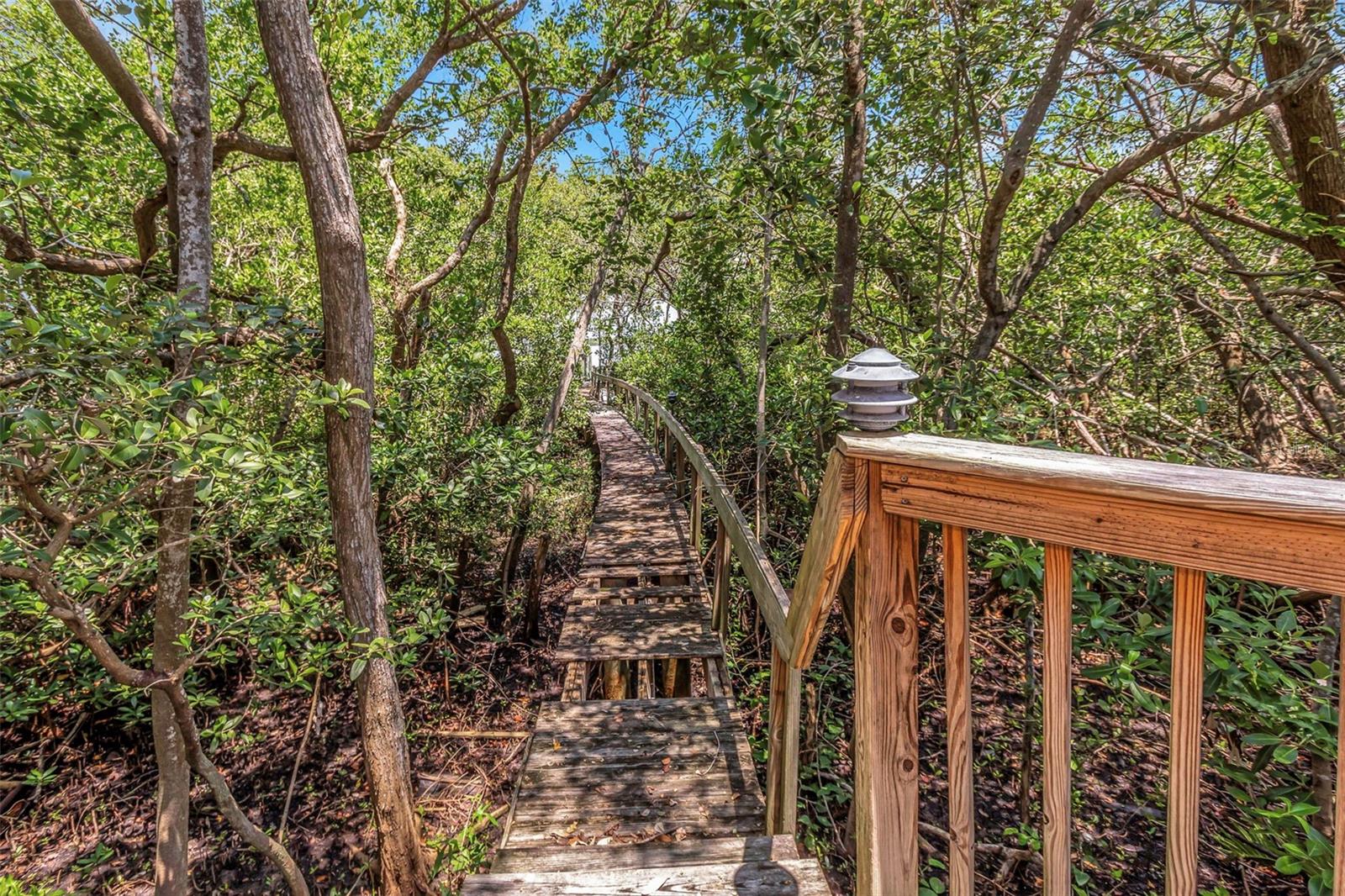 Boardwalk to Dock. Needs to be updated