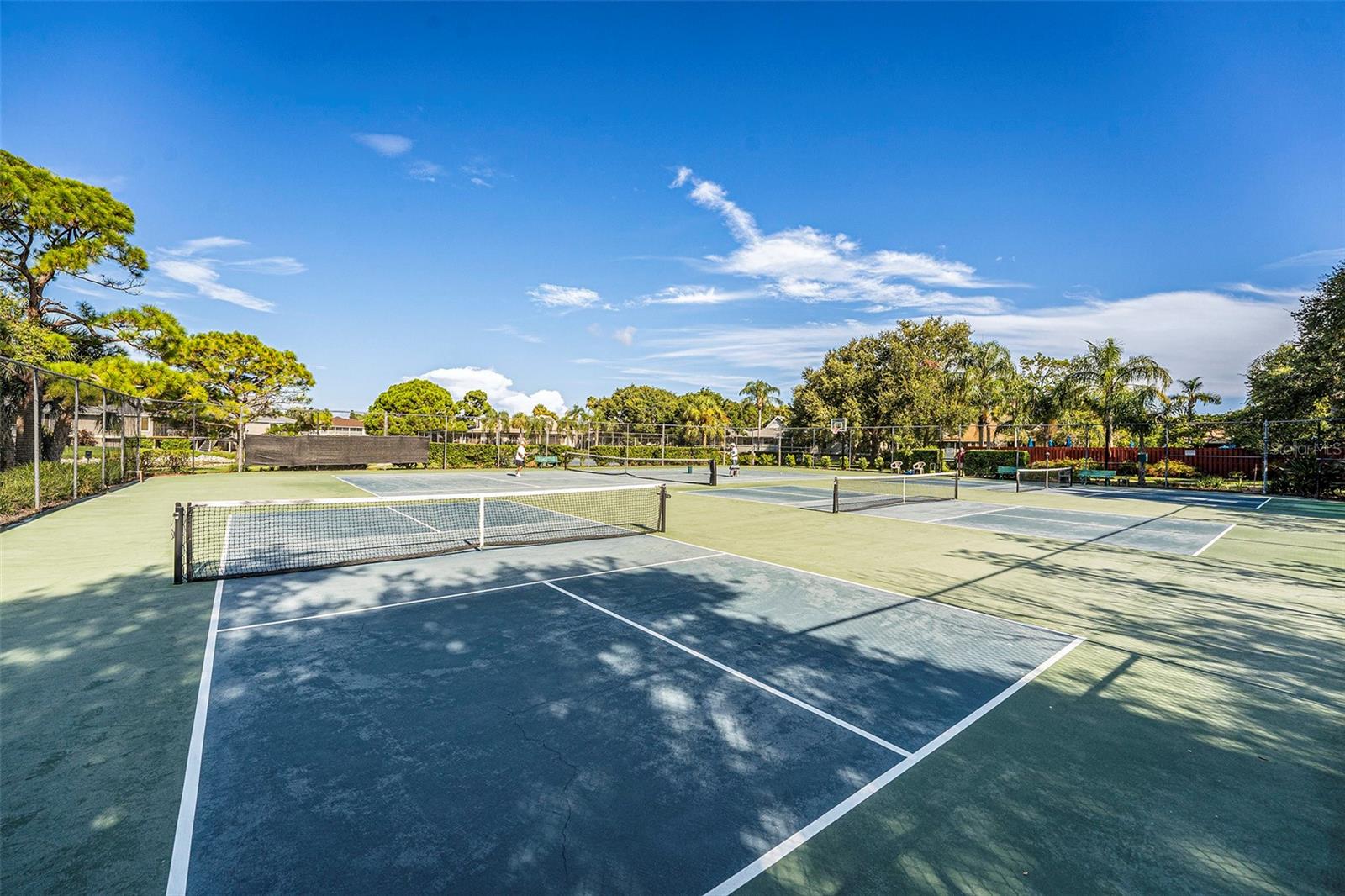 1001 SPOONTAIL CT, TARPON SPRINGS, FL, 34689