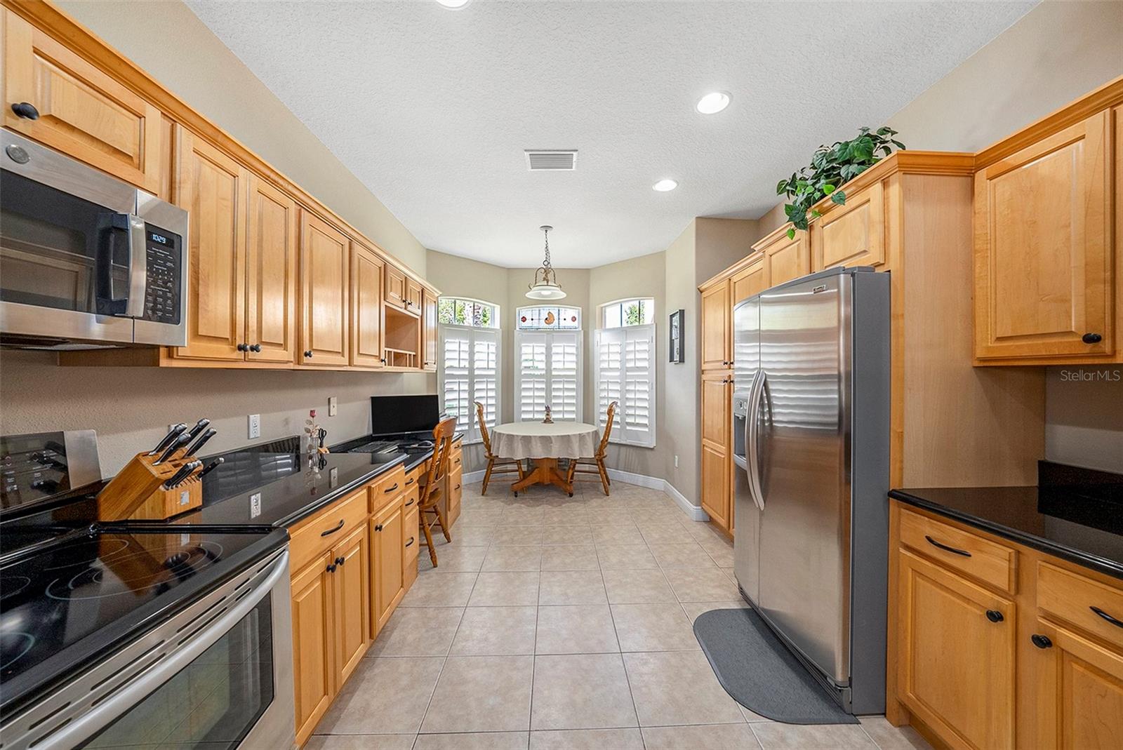 1001 SPOONTAIL CT, TARPON SPRINGS, FL, 34689