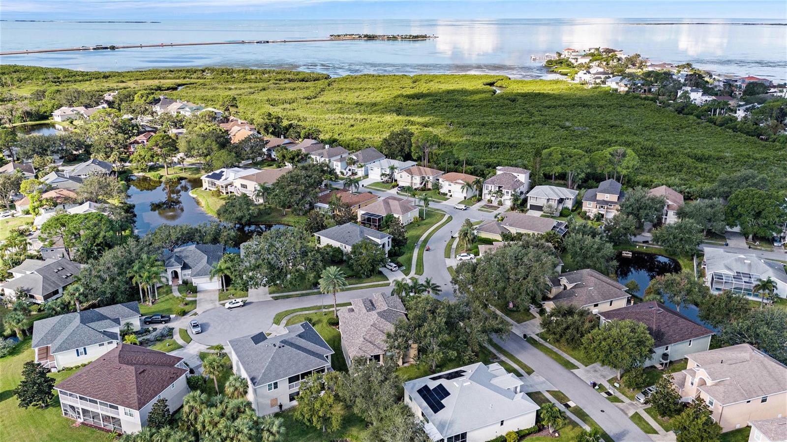 1001 SPOONTAIL CT, TARPON SPRINGS, FL, 34689