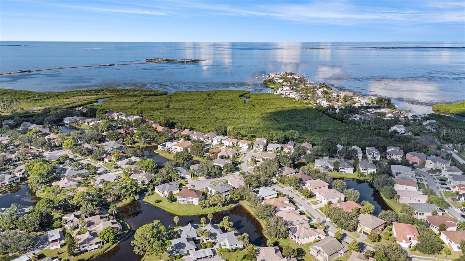 1001 SPOONTAIL CT, TARPON SPRINGS, FL, 34689