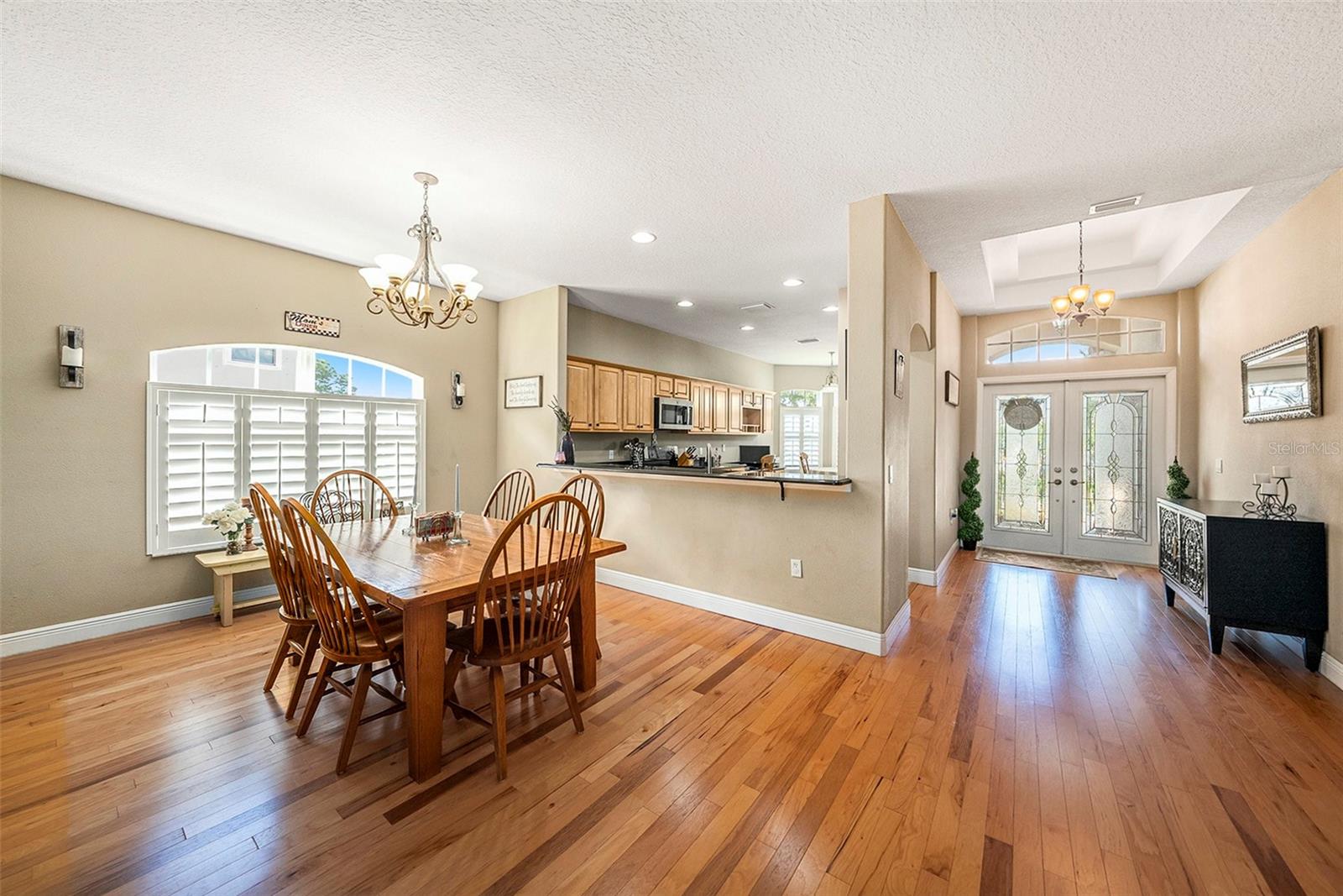 1001 SPOONTAIL CT, TARPON SPRINGS, FL, 34689