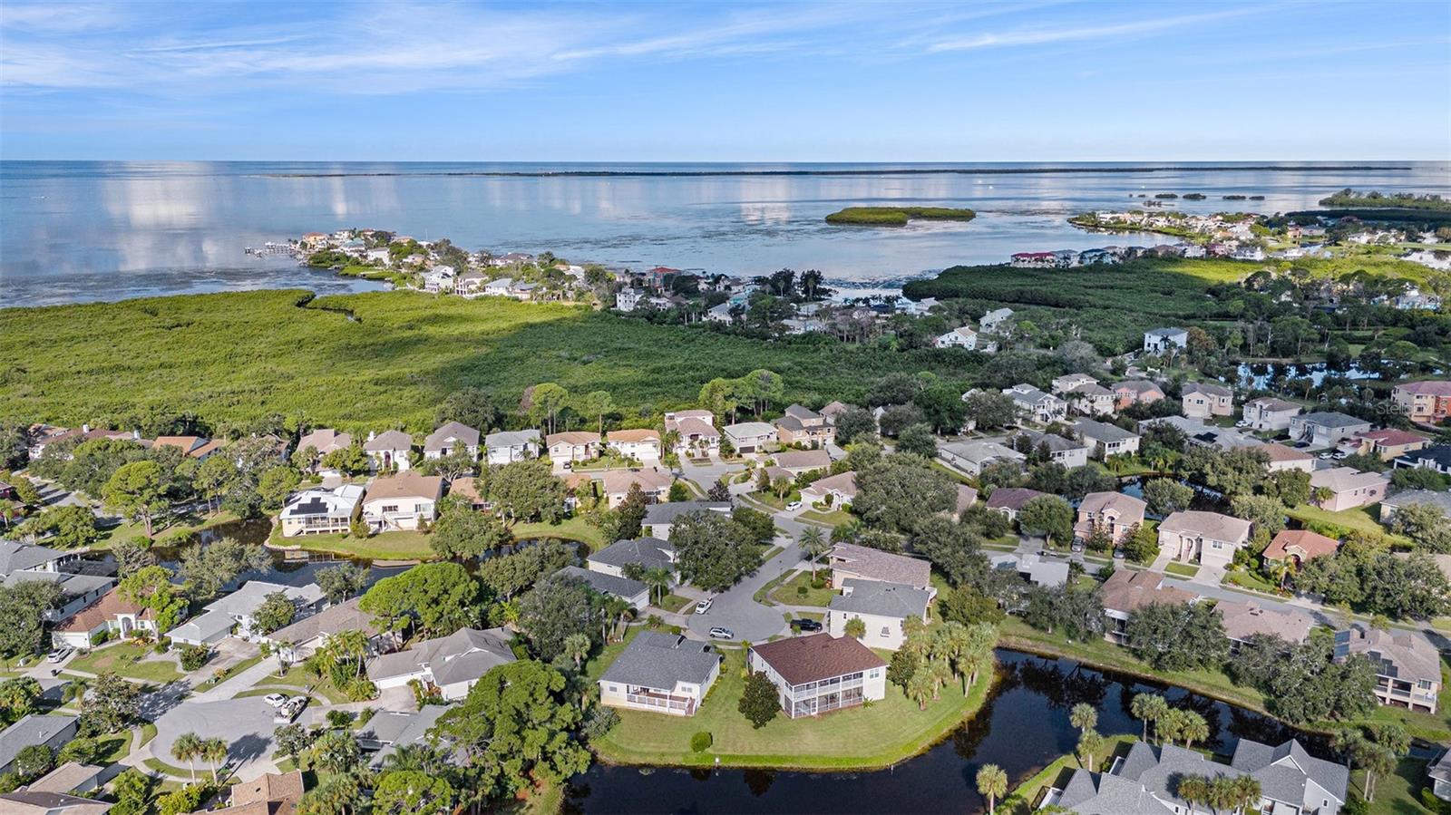 1001 SPOONTAIL CT, TARPON SPRINGS, FL, 34689