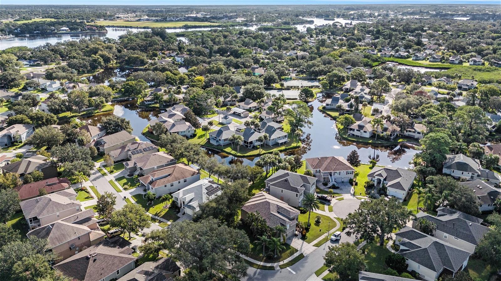 1001 SPOONTAIL CT, TARPON SPRINGS, FL, 34689