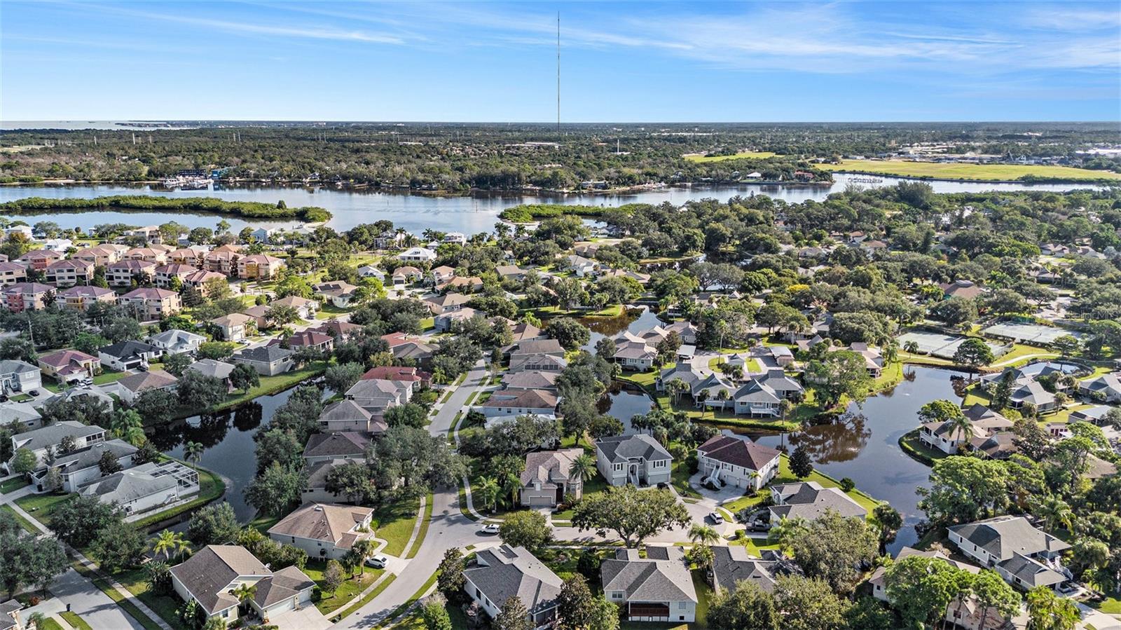 1001 SPOONTAIL CT, TARPON SPRINGS, FL, 34689