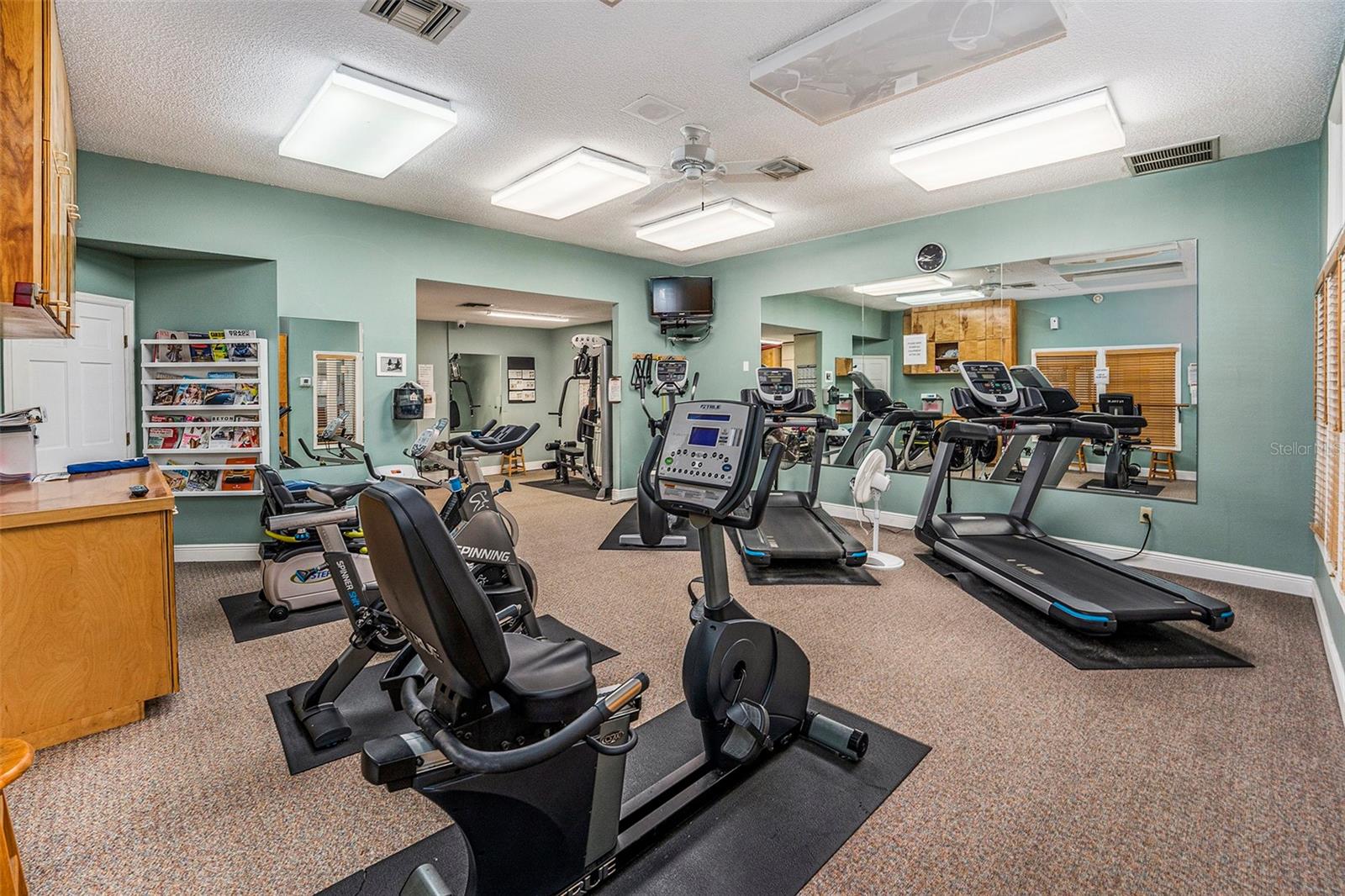 1001 SPOONTAIL CT, TARPON SPRINGS, FL, 34689