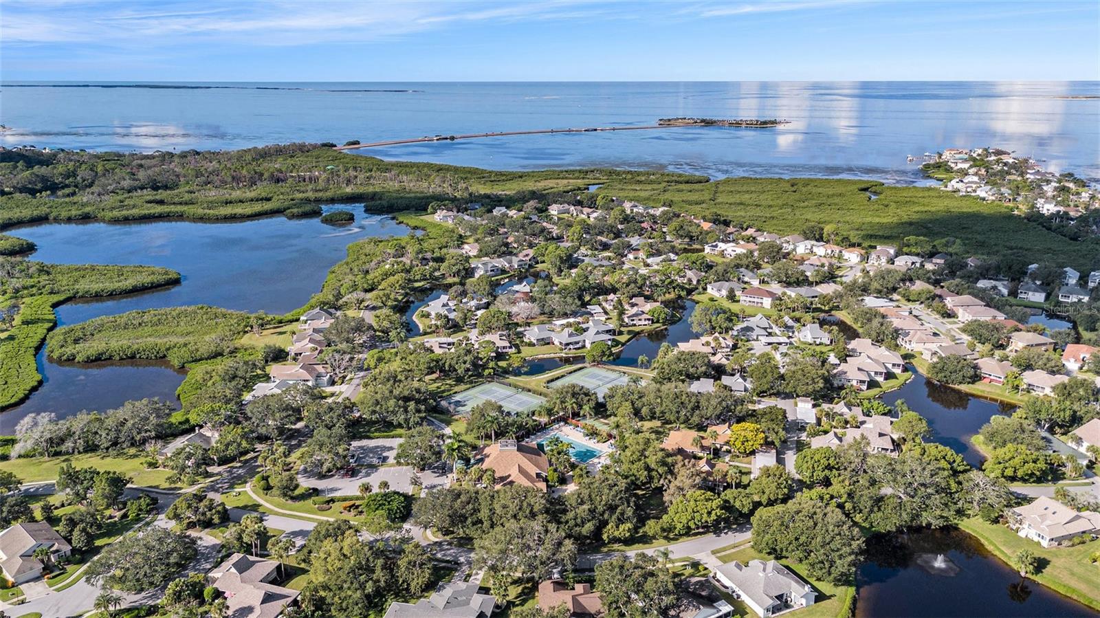 1001 SPOONTAIL CT, TARPON SPRINGS, FL, 34689