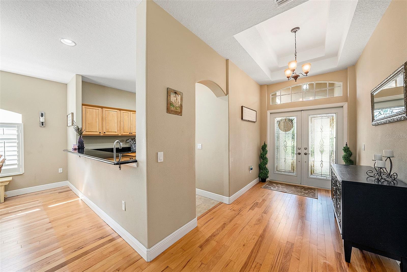 1001 SPOONTAIL CT, TARPON SPRINGS, FL, 34689