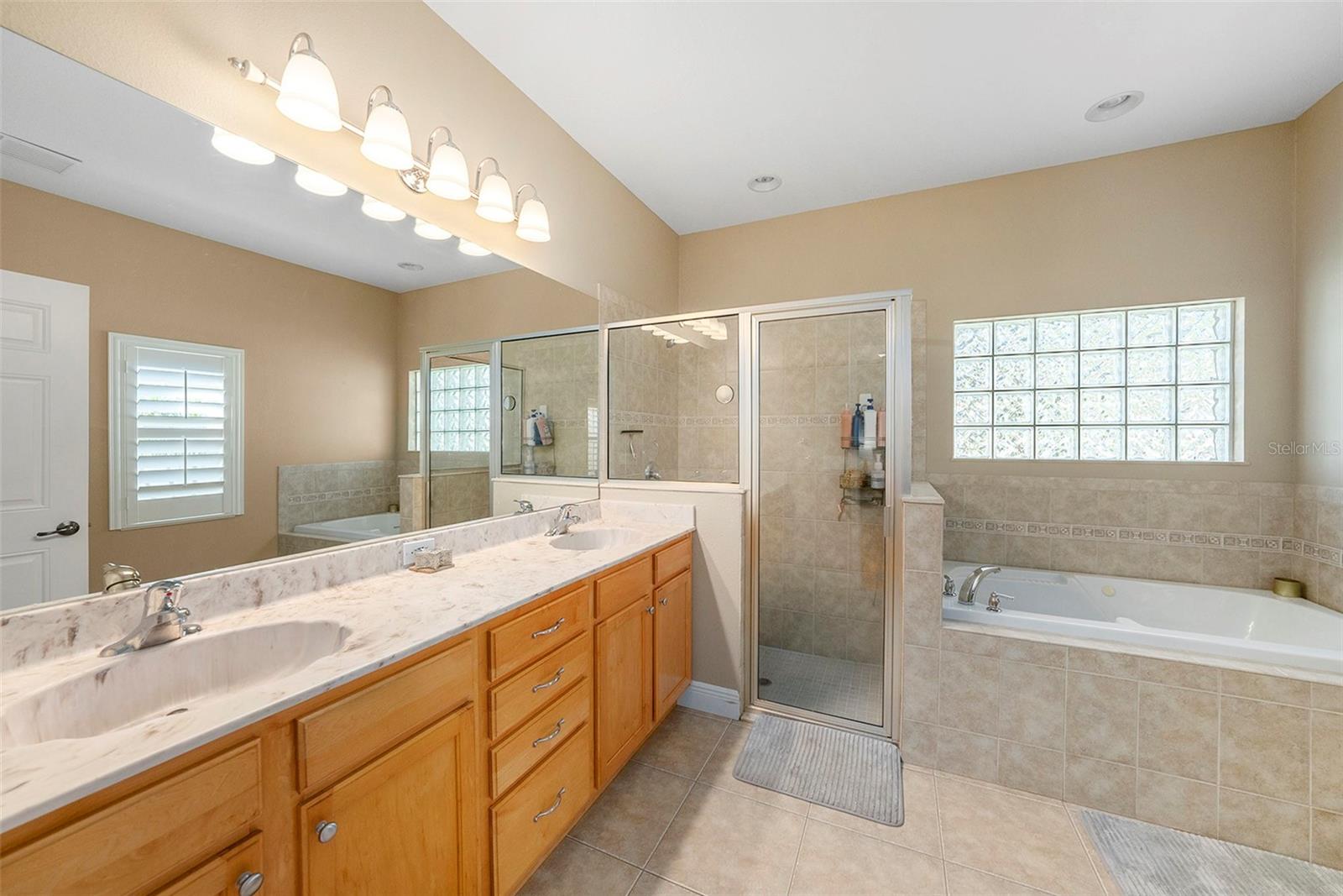 1001 SPOONTAIL CT, TARPON SPRINGS, FL, 34689