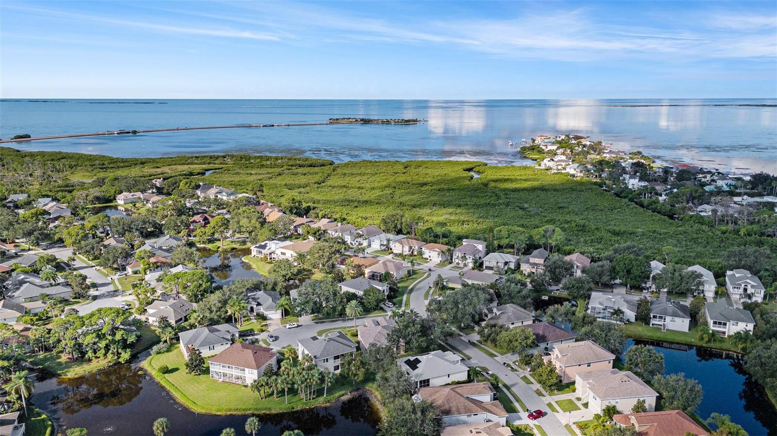 1001 SPOONTAIL CT, TARPON SPRINGS, FL, 34689