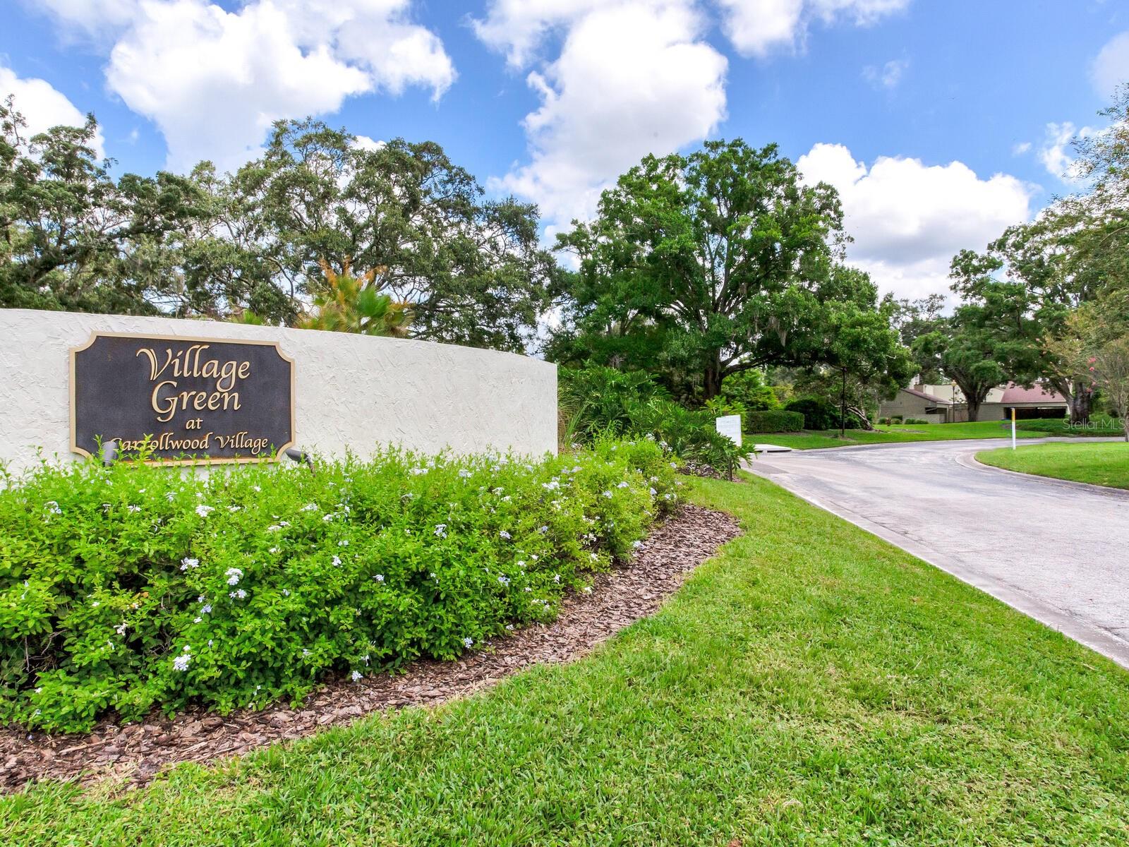 13507 PALMWOOD LN, TAMPA, FL, 33618