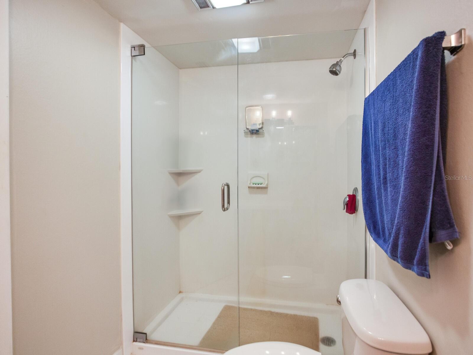 13507 PALMWOOD LN, TAMPA, FL, 33618