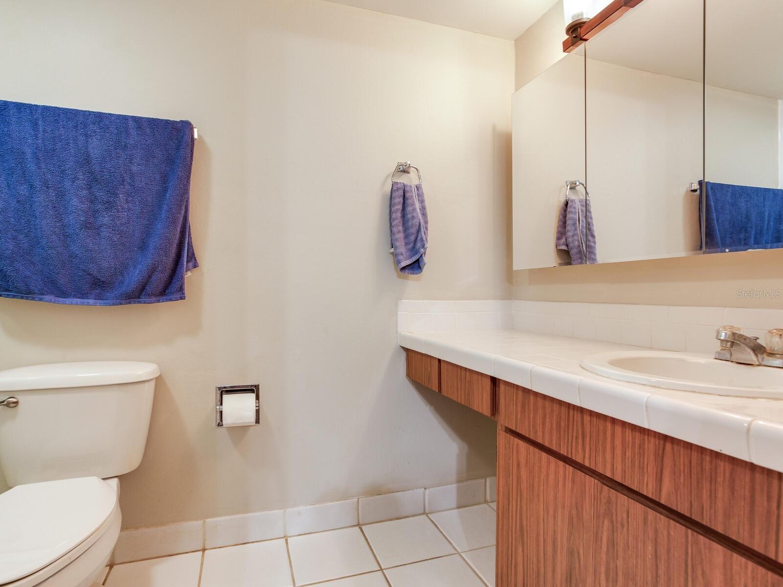 13507 PALMWOOD LN, TAMPA, FL, 33618