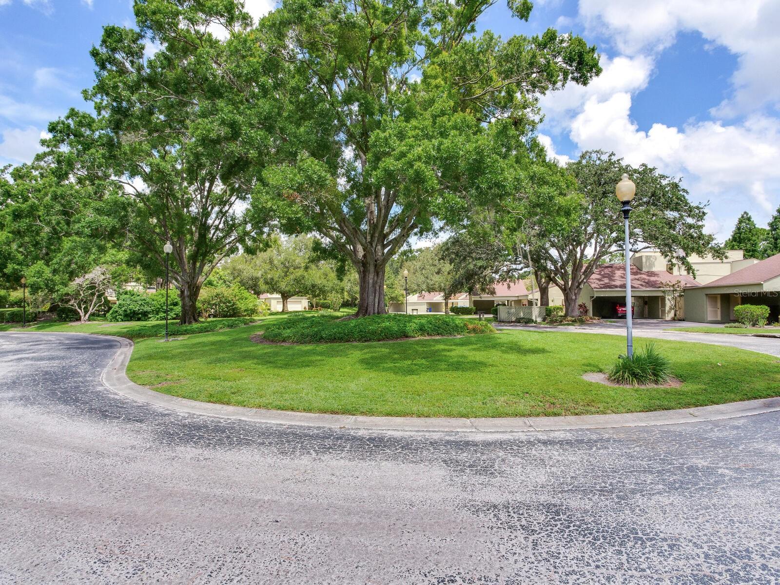 13507 PALMWOOD LN, TAMPA, FL, 33618