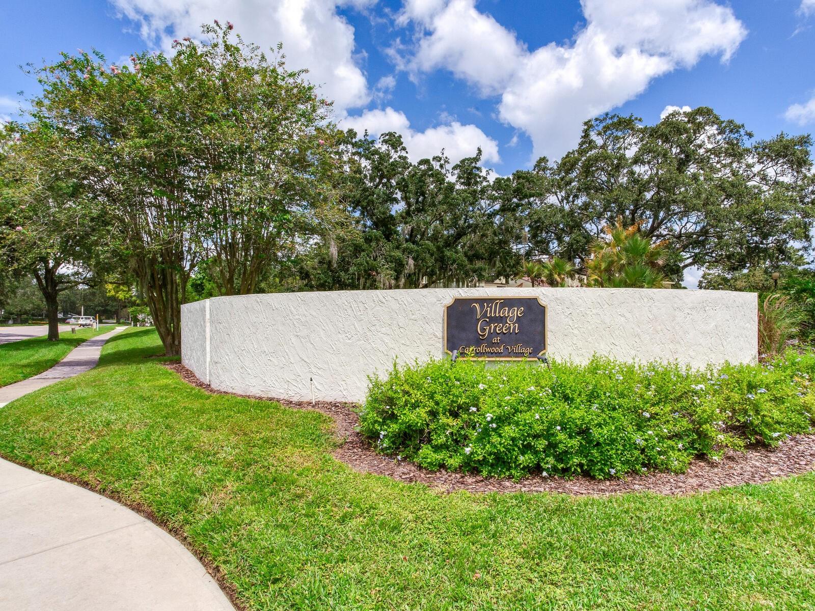 13507 PALMWOOD LN, TAMPA, FL, 33618