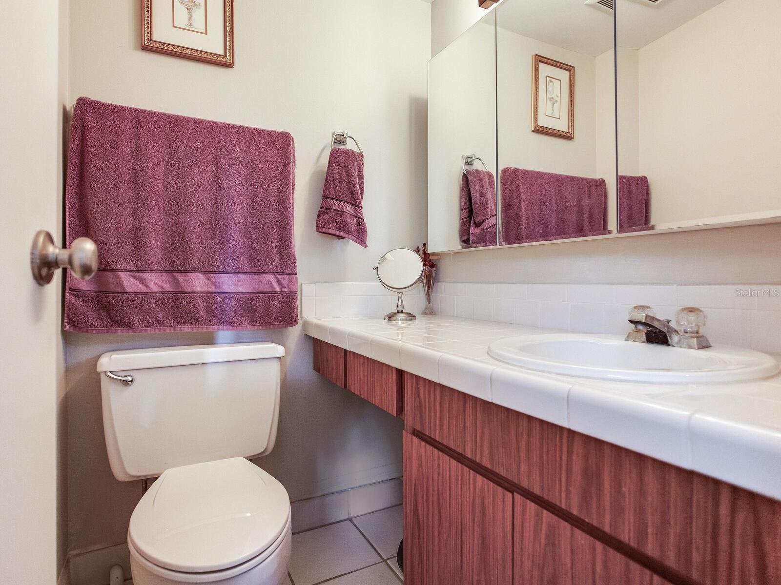 13507 PALMWOOD LN, TAMPA, FL, 33618