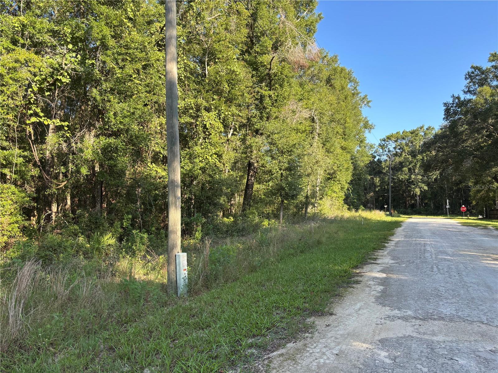 NW 80TH CT, FANNING SPRINGS, FL, 32693