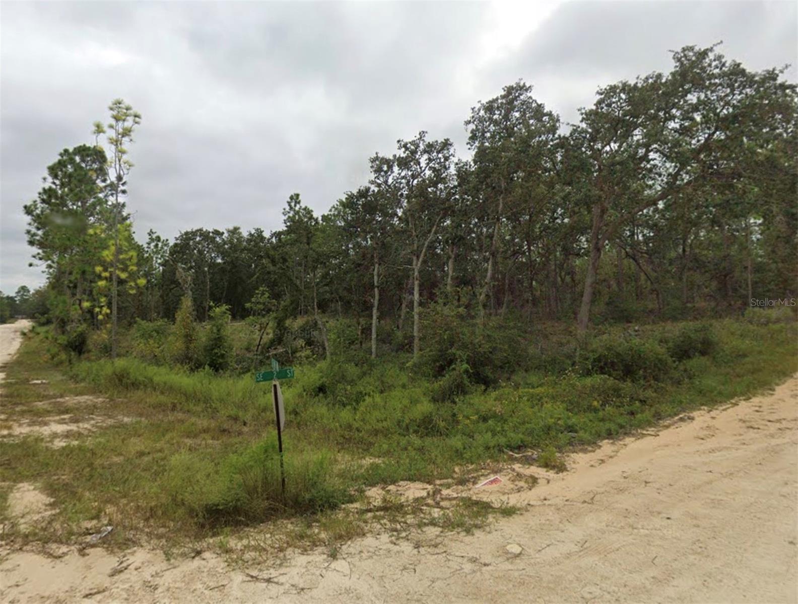 TBD SE 148 AVE, WILLISTON, FL, 32696