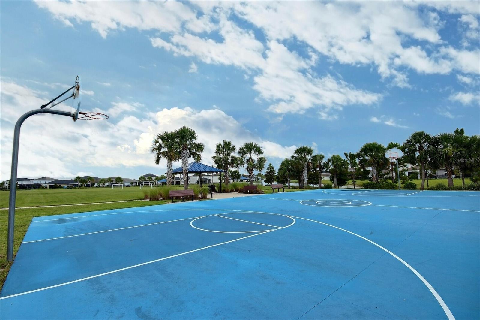 10567 PIEDRA DR, PALMETTO, FL, 34221