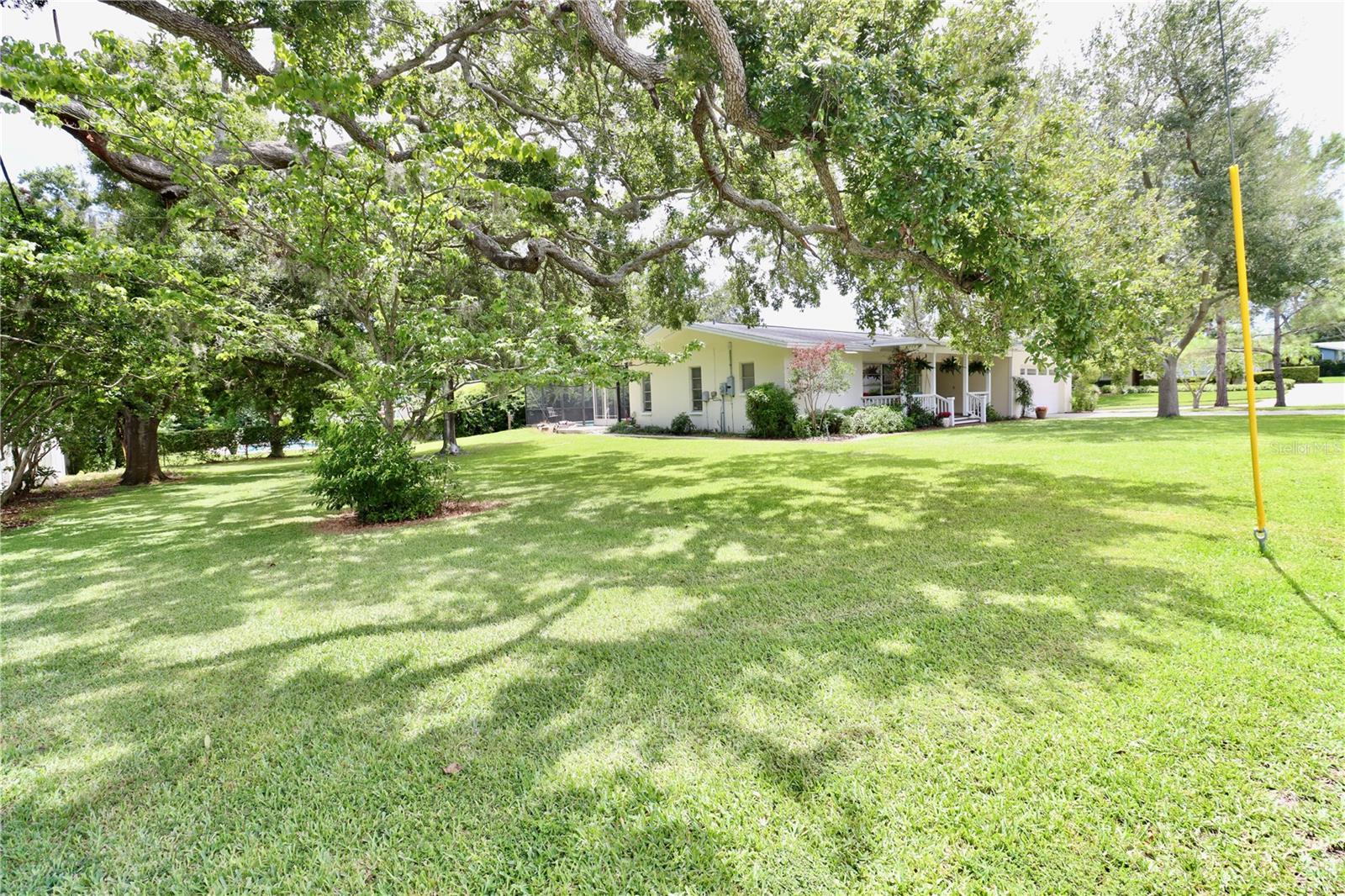 1665 MAGNOLIA DR, CLEARWATER, FL, 33756