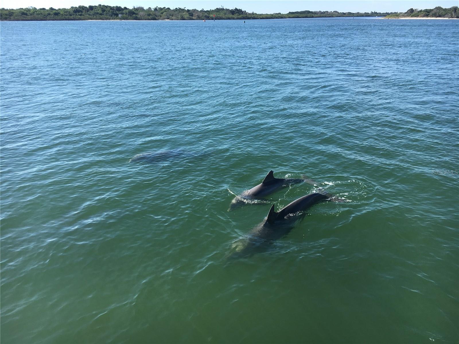 O6336001 Property Photo