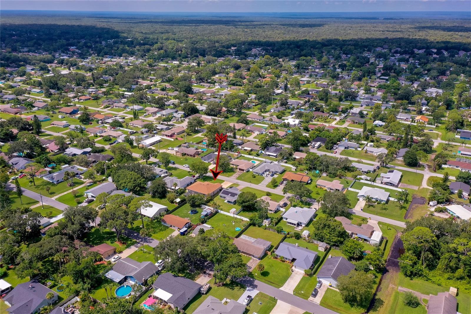 2321 SABAL PALM, EDGEWATER, FL, 32141