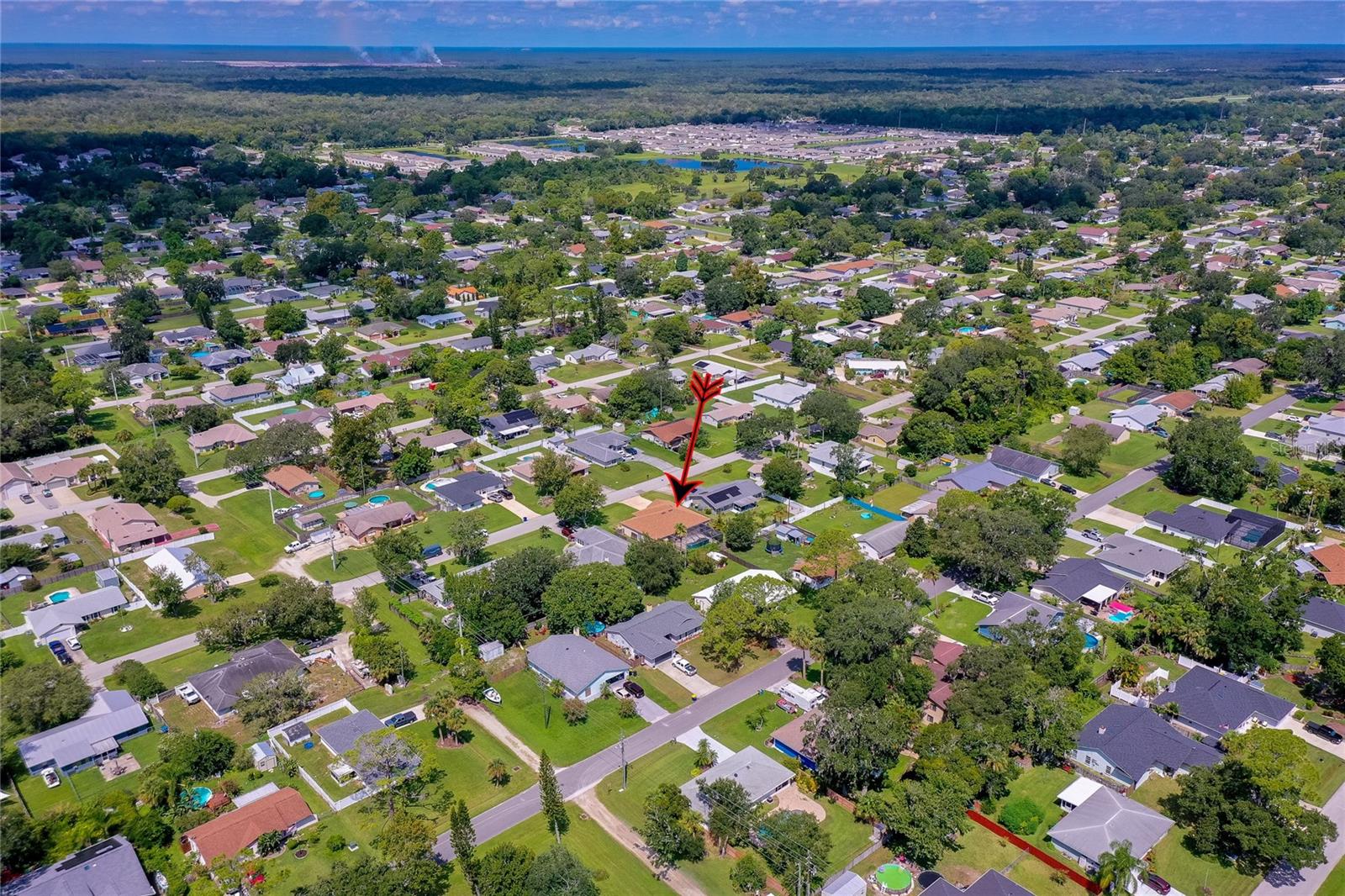 2321 SABAL PALM, EDGEWATER, FL, 32141